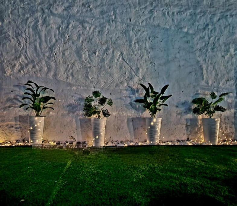 La Casa Del Arbol Βίλα Fuentiduena de Tajo Εξωτερικό φωτογραφία
