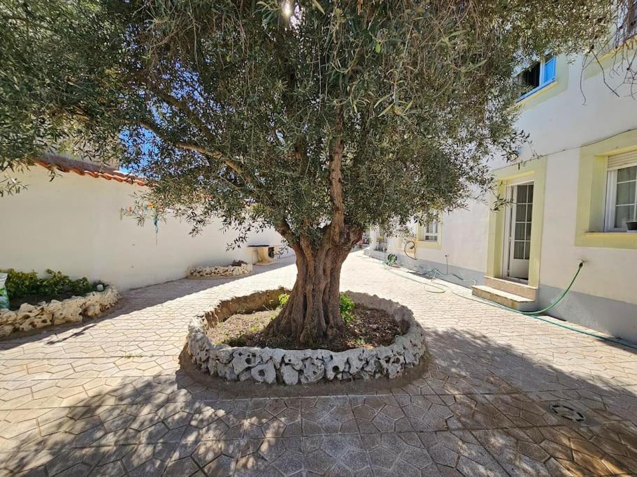 La Casa Del Arbol Βίλα Fuentiduena de Tajo Εξωτερικό φωτογραφία