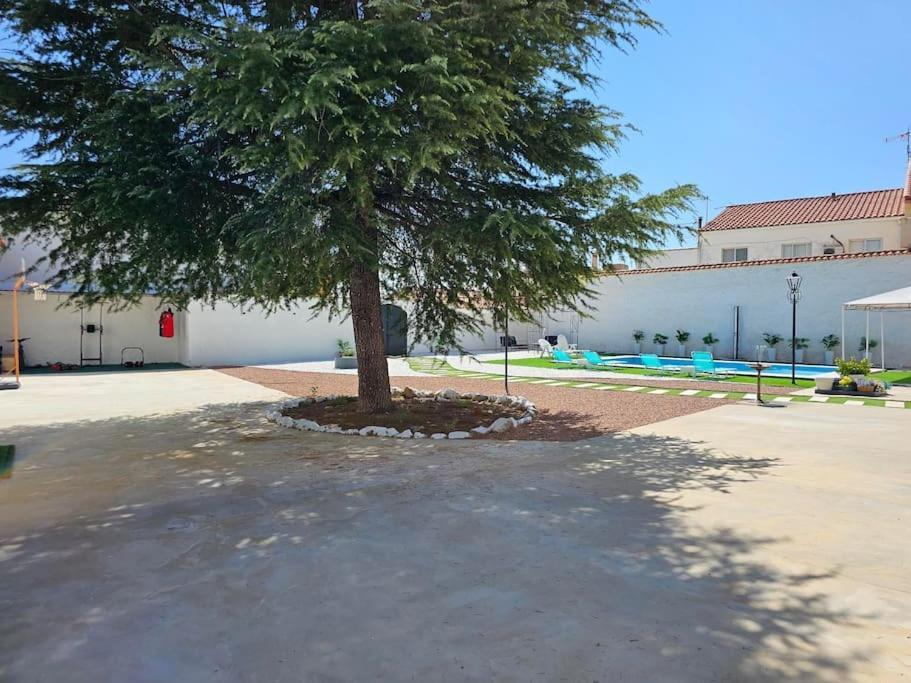 La Casa Del Arbol Βίλα Fuentiduena de Tajo Εξωτερικό φωτογραφία